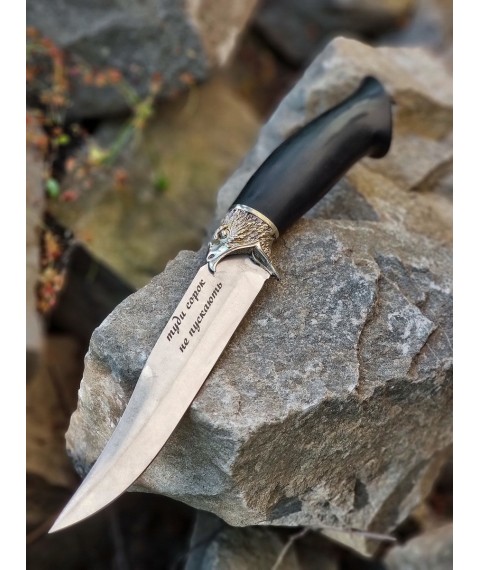 Author's knife "Free Bird" stainless steel