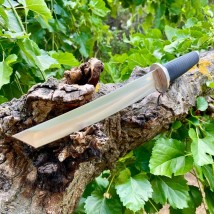 Tactical Tanto knife #2823