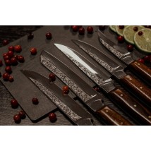 Набір кухонних ножів ручної роботи «П'ятірка #2» коричнева рукоять, 65х13/57 HRC