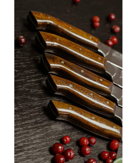 Набір кухонних ножів ручної роботи «П'ятірка #2» коричнева рукоять, 65х13/57 HRC