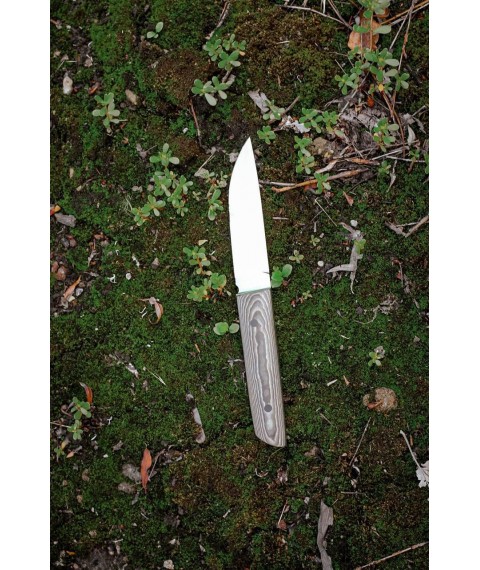 Handmade knife “Mamba #1” with leather sheath N690/61 HRC