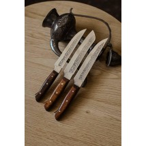 Набір кухонних ножів ручної роботи «Трійка #2» коричнева рукоять, 65х13/57 HRC