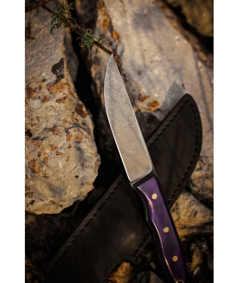Handmade fultang knife “Crocus #1” with leather sheath N690/61 HRC