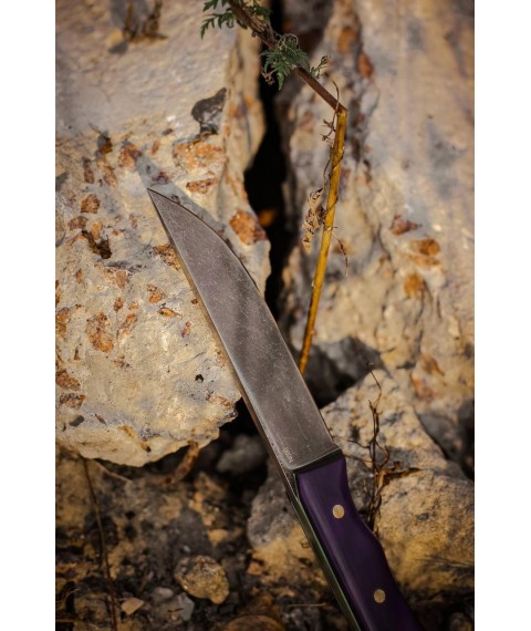 Handmade fultang knife “Crocus #1” with leather sheath N690/61 HRC
