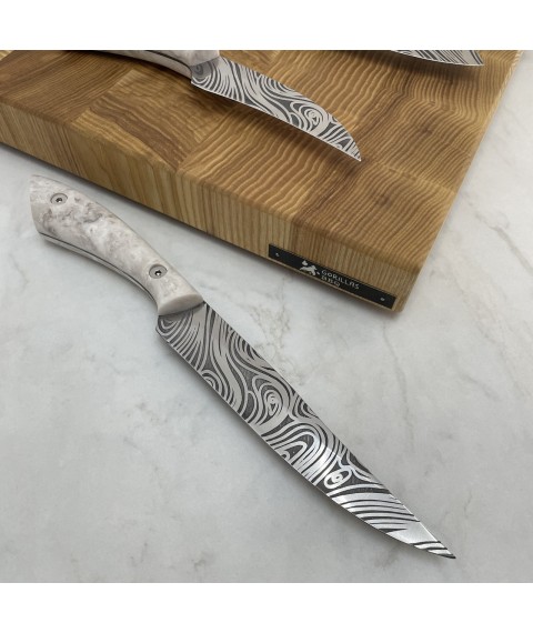Set of kitchen knives “Fox Tail” 2.0 premium version