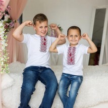 Casual embroidered T-shirt for a boy in white with red embroidery "Dem'yanchik" 98