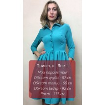 Плаття-халат із пишною спідницею та кишенями П208