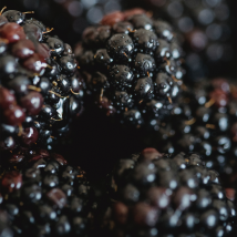 Sweet blackberry 1 pc