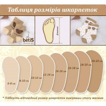 Шкарпетки BetiS 1018 Girl Бавовна-95%, Еластан-5% Малиновий  27074569  Розмір 6-8