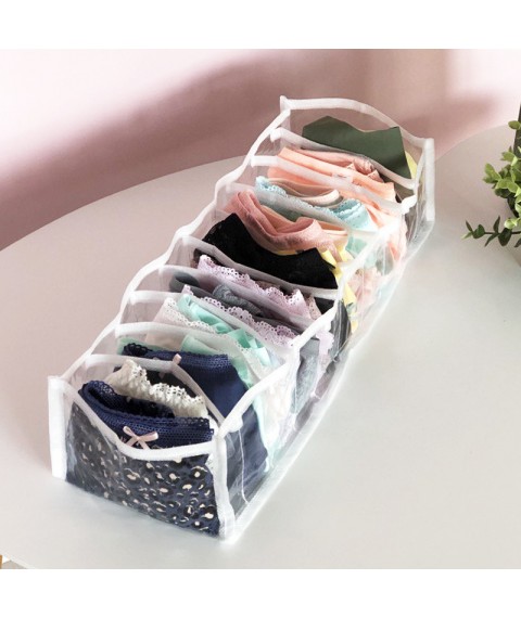 Transparent organizer with 10 compartments for panties S (white)