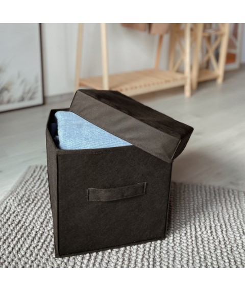 Box with lid 30*30*30 cm ORGANIZE (black)