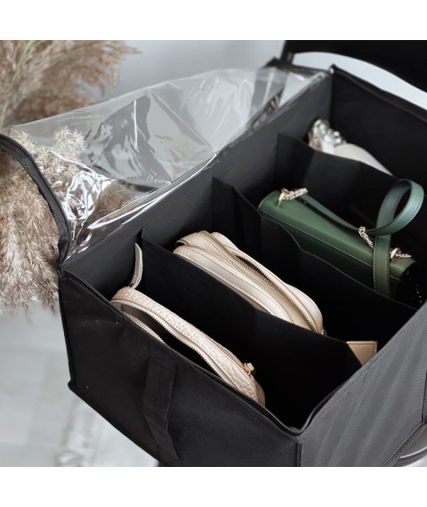 Organizer for storing demi-season shoes for 4 pairs ORGANIZE (black)