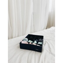 Коробочка для трусиків 20 комірок ORGANIZE (джинс)