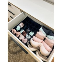 Набір органайзерів для нижньої білизни 2 шт ORGANIZE (джинс)