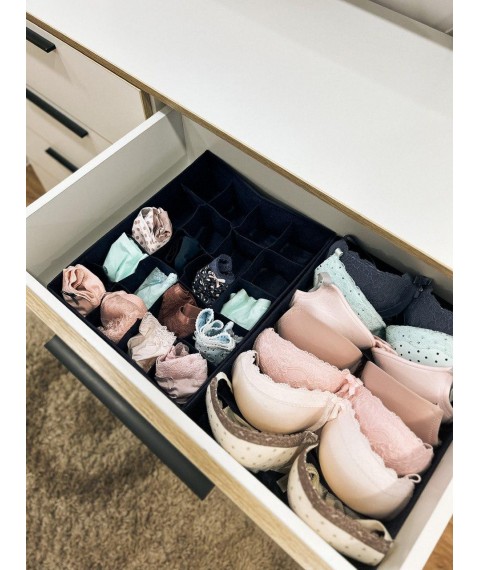 Набір органайзерів для нижньої білизни 2 шт ORGANIZE (джинс)