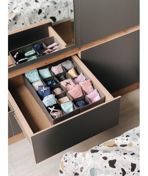Organizer for panties and socks with 20 cells ORGANIZE (gray)