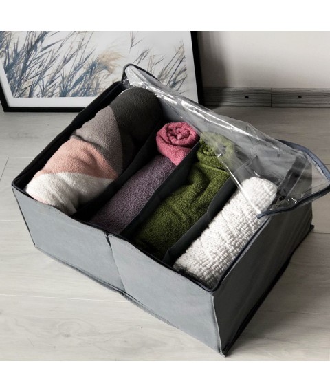 Organizer for storing demi-season shoes for 4 pairs up to size 42 48*34*20 cm (gray)