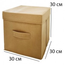 Короб для хранения с крышкой 30*30*30 см ORGANIZE (бежевый)