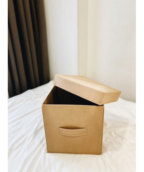 Storage box with lid 30*30*30 cm ORGANIZE (beige)