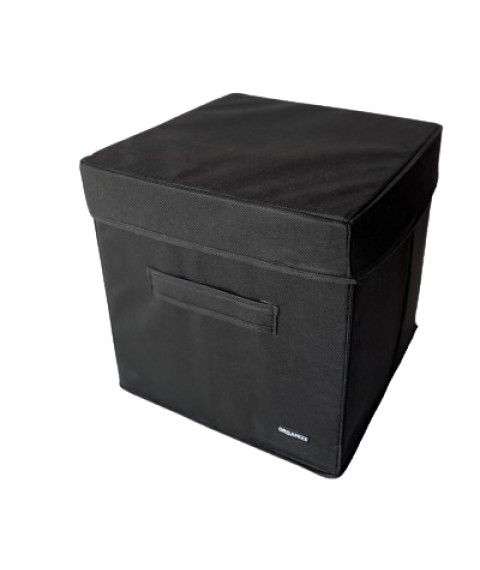 Box with lid 30*30*30 cm ORGANIZE (black)