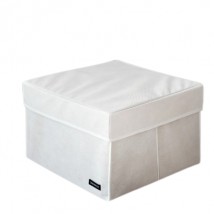 Organizer box with lid for storing documents and things in the L cabinet (white)