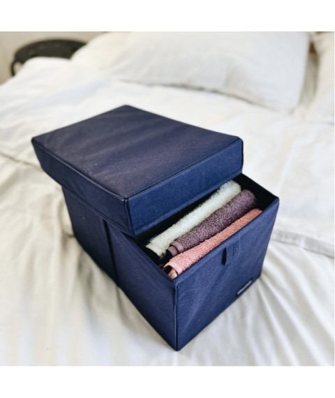 Ящик-органайзер для зберігання речей з кришкою M - 30*19*19 см (синій)