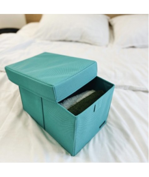 Organizer box for storing things with a lid M - 30*19*19 cm (azure)