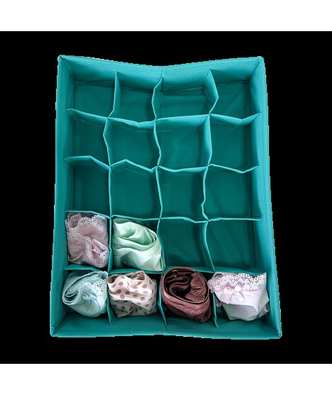 Panty box 20 cells ORGANIZE (azure)