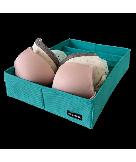 Organizer for bras ORGANIZE (azure blue)