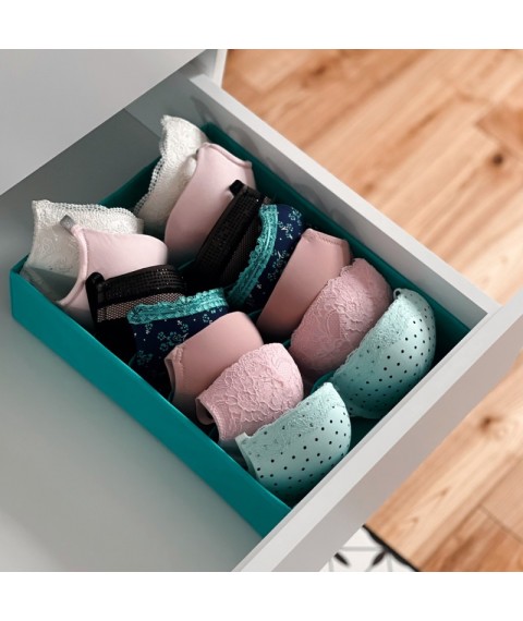 Organizer for bras ORGANIZE (azure blue)