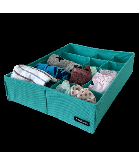 Linen trunk with two types of cells ORGANIZE (azure)