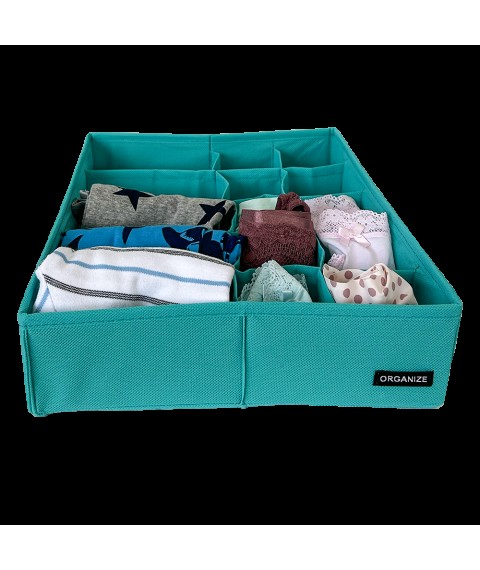 Linen trunk with two types of cells ORGANIZE (azure)