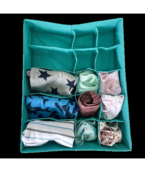 Linen trunk with two types of cells ORGANIZE (azure)