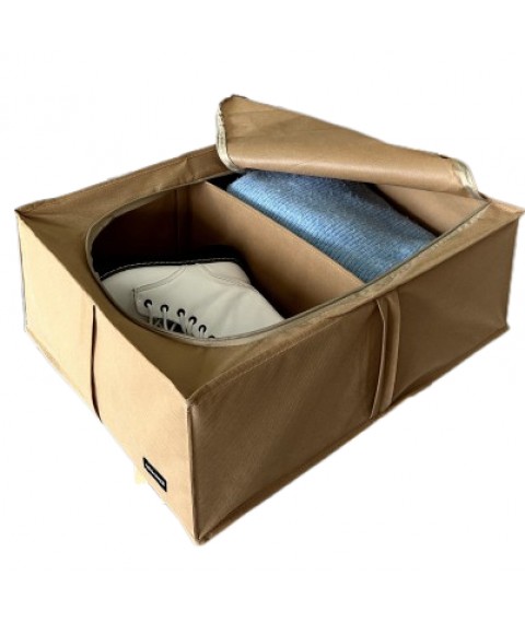 Box for storing things and shoes with 2 compartments 50*41*18 cm ORGANIZE (beige)