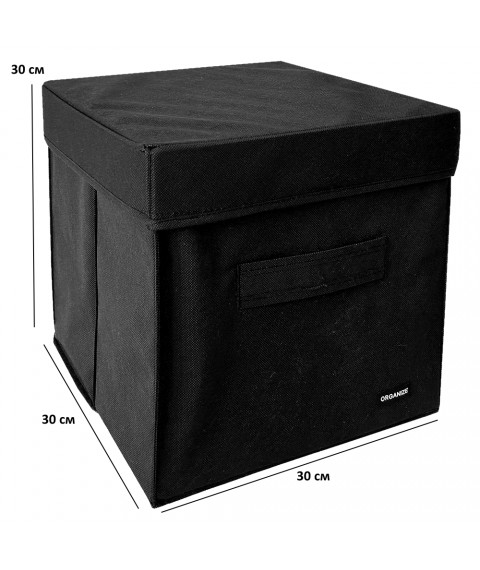 Box with lid 30*30*30 cm ORGANIZE (black)