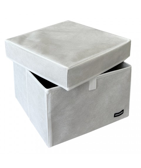 Organizer box with lid for storing documents and things in the L cabinet (white)