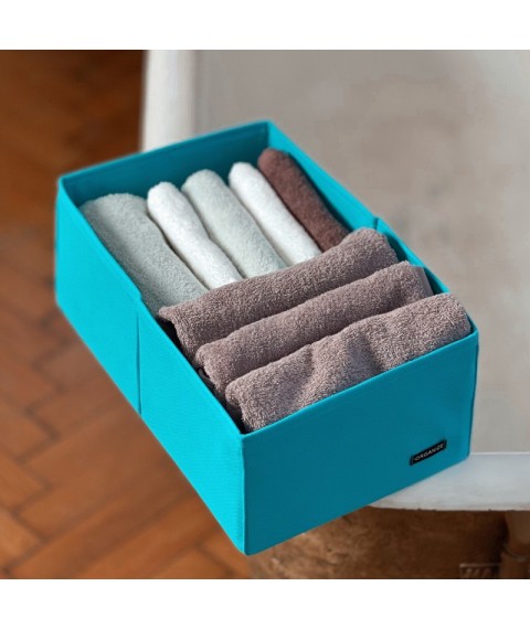 Vertical storage box for two compartments ORGANIZE (azure)