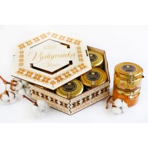 Подарунковий набір VYSHYVANKA HOLIDAY Український подарунок Мед з горіхами та сухофруктами
