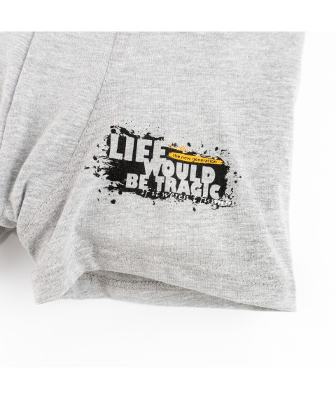 Труси-боксери для чоловіка з принтом Life  Dexter`s  Сірий d4001-4-2  L (d4001-4-2)