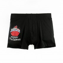 Трусы-боксеры для мальчика с принтом Merry Christmas  Dexter`s  Черный d4002-1-2  98 см (d4002-1-2)