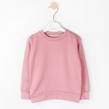 Jumper for girls with embroidery pink Dexter`s Dexter`s Pink d315-3 110 cm (d315-3)
