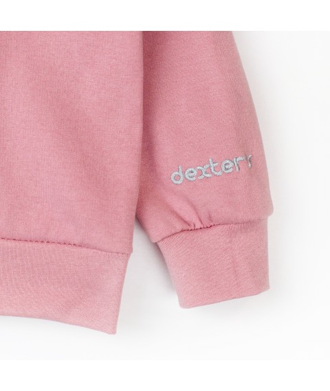 Jumper for girls with embroidery pink Dexter`s Dexter`s Pink d315-3 122 cm (d315-3)