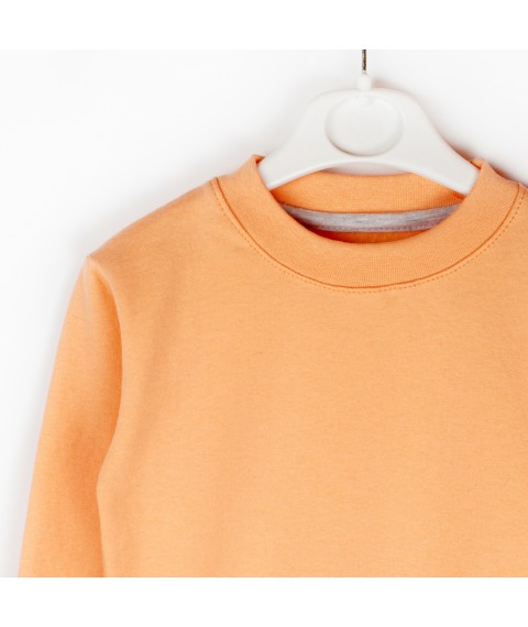 Children's sweater with peach embroidery Dexter`s Dexter`s Peach d315-4 110 cm (d315-4)