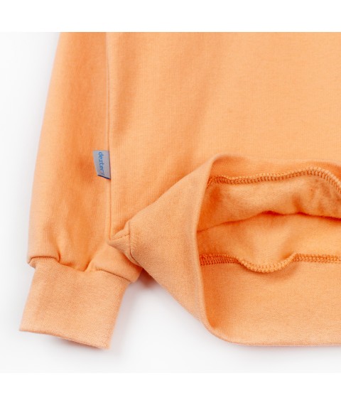 Children's sweater with peach embroidery Dexter`s Dexter`s Peach d315-4 110 cm (d315-4)