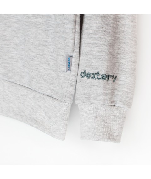 Dexter`s Dexter`s Dexter`s embroidered children's jumper Gray d315-1 134 cm (d315-1)