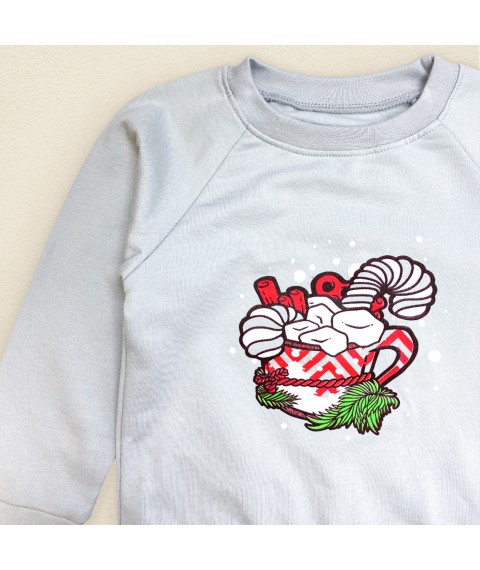 Children's sweater with nachos New Year Dexter`s Gray d3030-2chsh-ngtg 92 cm (d3030-2chsh-ngtg)