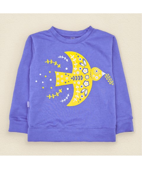 Child's blue sweatshirt with a patriotic print Dexter`s Blue 2112 110 cm (d2112-1)