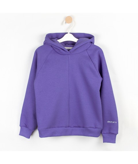 Dexter`s Dexter`s Embroidered Hooded Sweatshirt Purple d2164-4 152 cm (d2164-4)