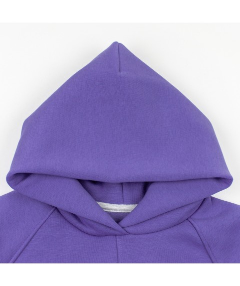 Свитшот с капюшоном и вышивкой Dexter`s  Dexter`s  Фиолетовый d2164-4  122 см (d2164-4)