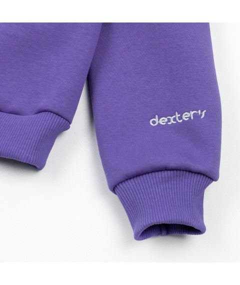 Свитшот с капюшоном и вышивкой Dexter`s  Dexter`s  Фиолетовый d2164-4  152 см (d2164-4)